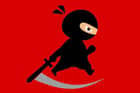 Mr. Ninja Fighter